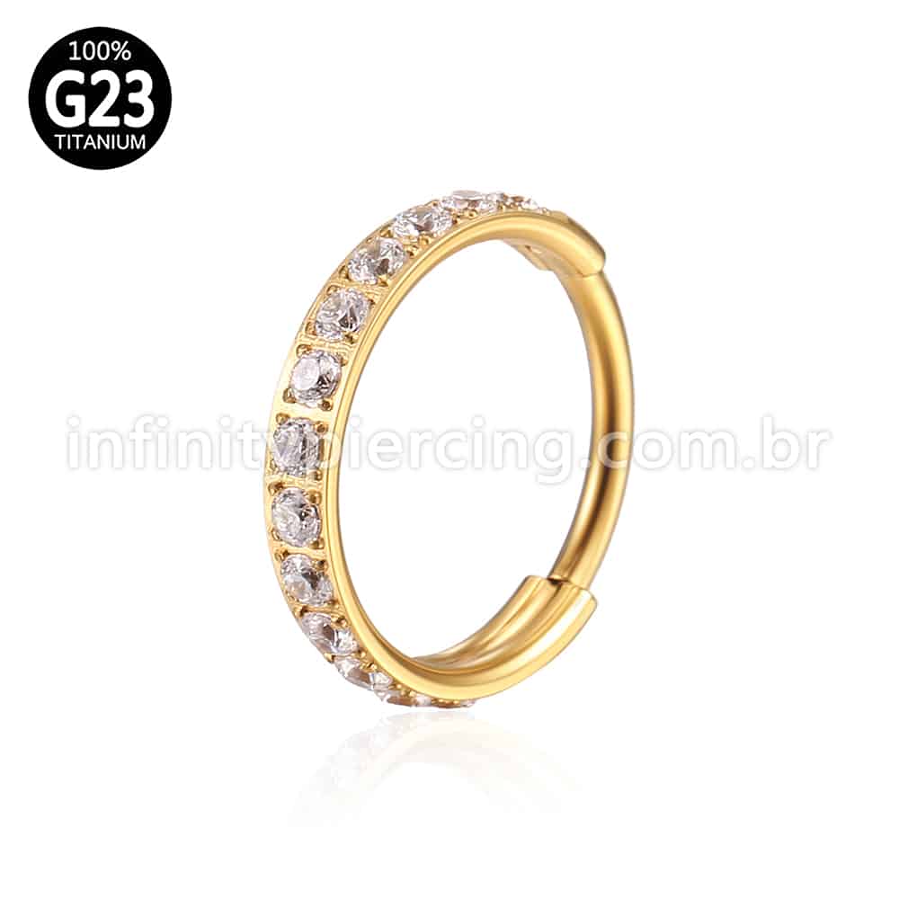 Piercing Argola Titânio Segmento Articulado 1 Fileira Zircônia