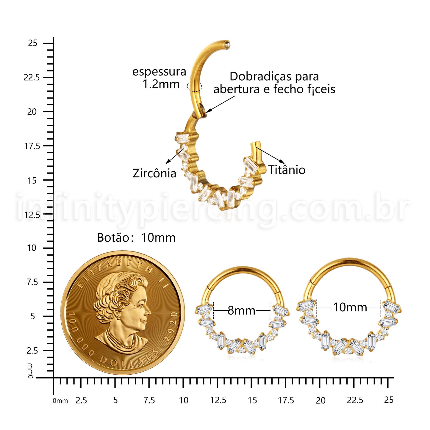 Piercing Argola Titânio Zircônia Cravejada