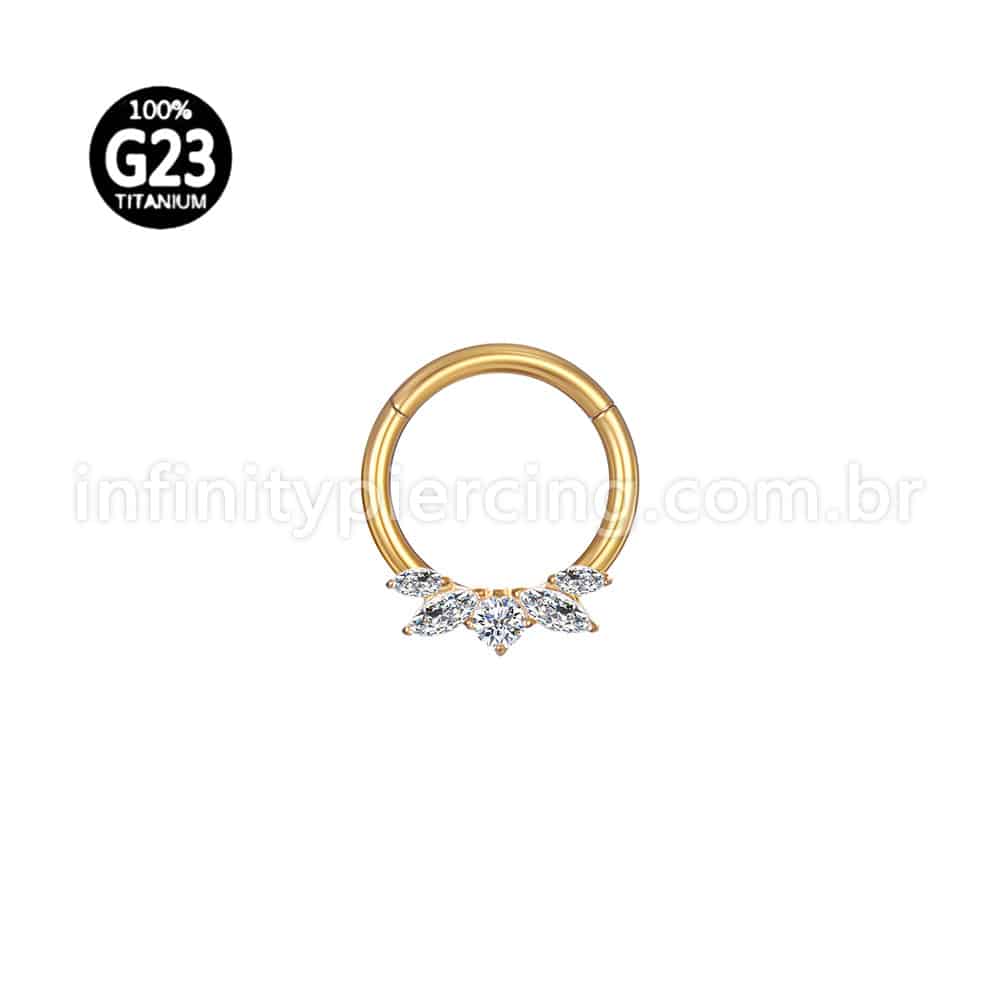 Piercing Argola Titânio Detalhes Zircônia Cravejada