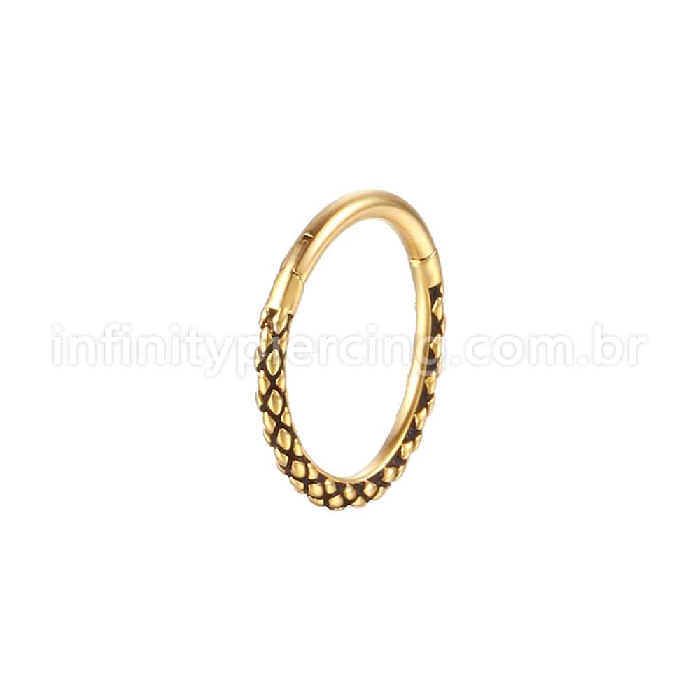 Piercing Argola Aço Cirúrgico Detalhado
