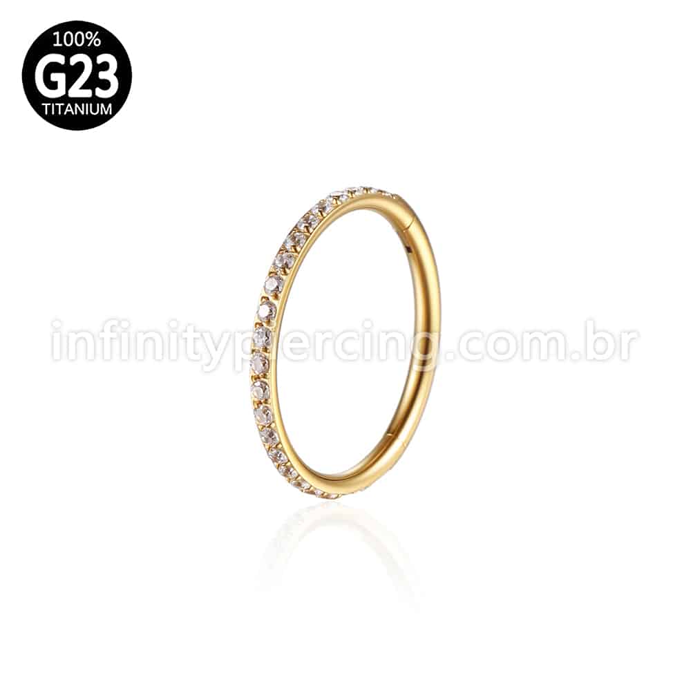 Piercing Argola Segmento Articulado Titânio Zircôrnia
