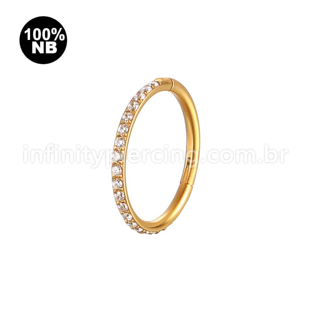 Piercing Argola Nióbio Segmento Articulado Zircônia Cravejada