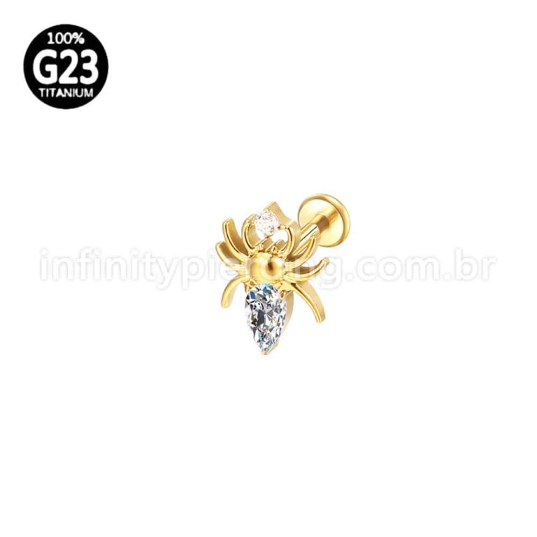 Piercing Labret Titânio Aranha Com Zircônia Cravejada