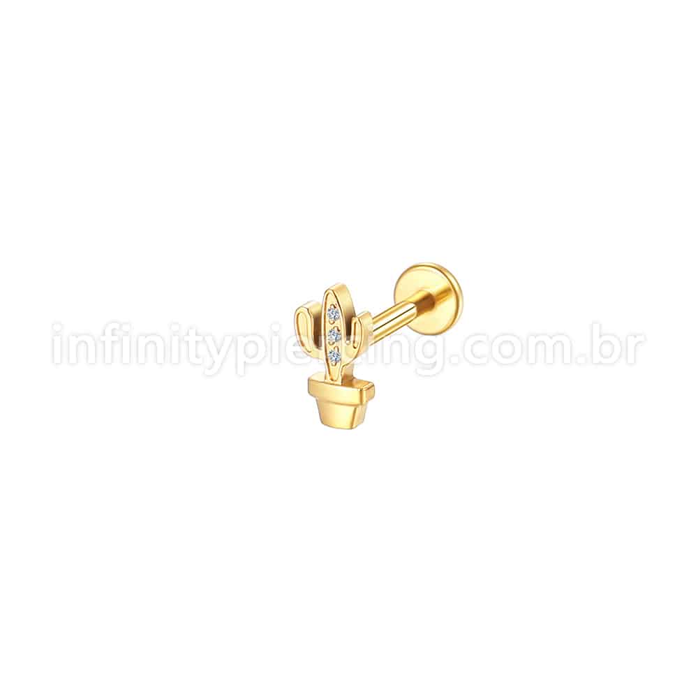Piercing Labret Aço Cirúrgico Cacto Com Zircônia