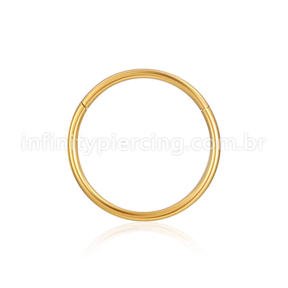 Piercing Argola Segmento Articulado Aço Cirúrgico
