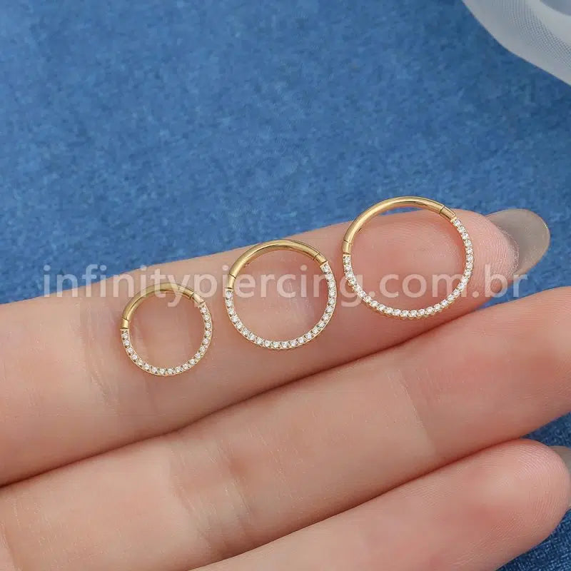Piercing Argola Aço Cirúrgico Segmento Articulado Detalhada/Zircônia