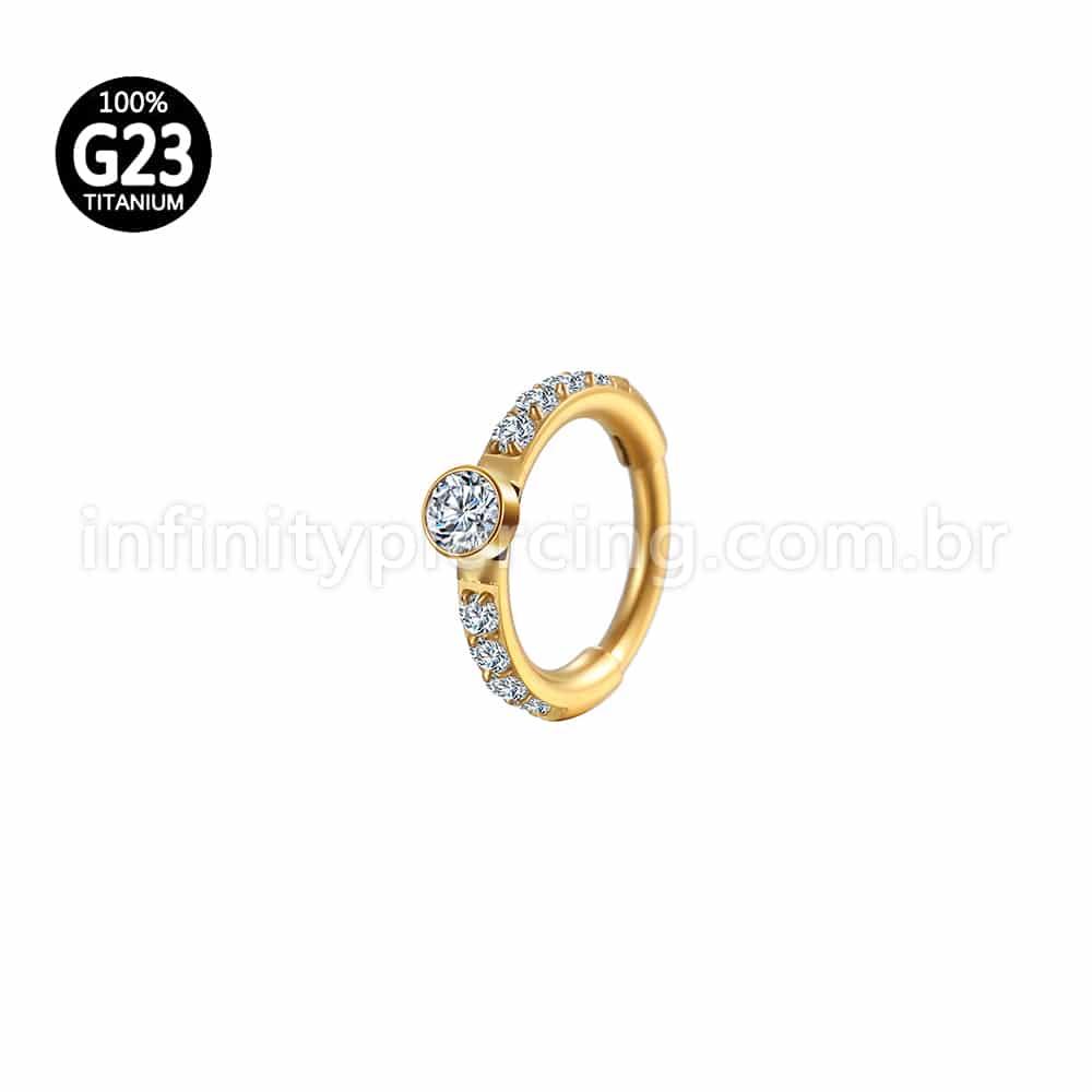 Piercing Argola Titânio Segmento Articulo Zircônia Redonda Cravejada