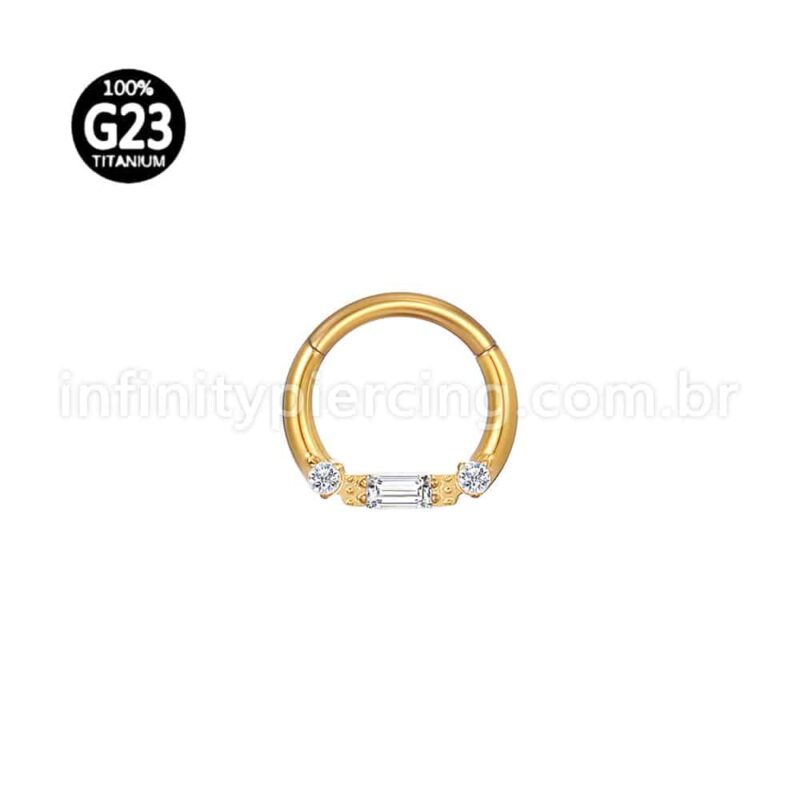Piercing Argola Titânio Detalhes Zircônia Cravejada