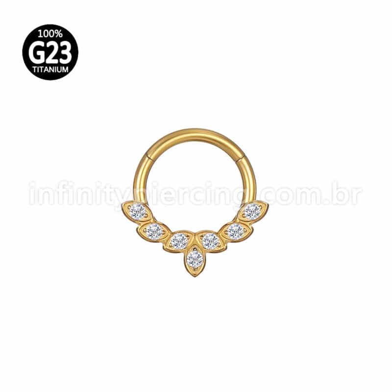 Piercing Argola Titânio Segemento Articulado Detalhes Zircônia