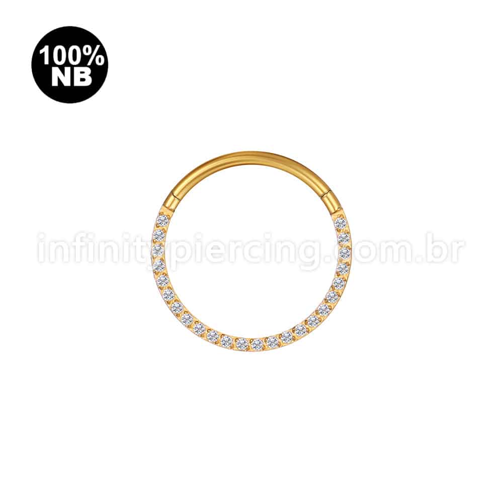 Piercing Argola Nióbio Segmento Articulado Frontal Zircônia Cravejada