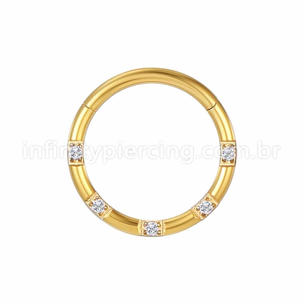Piercing Argola Aço Cirúrgico Detalhes Zircônia