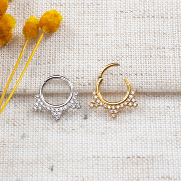 Piercing Argola Segmento Articulado Aço Cirúrgico Zircônia Cravejada