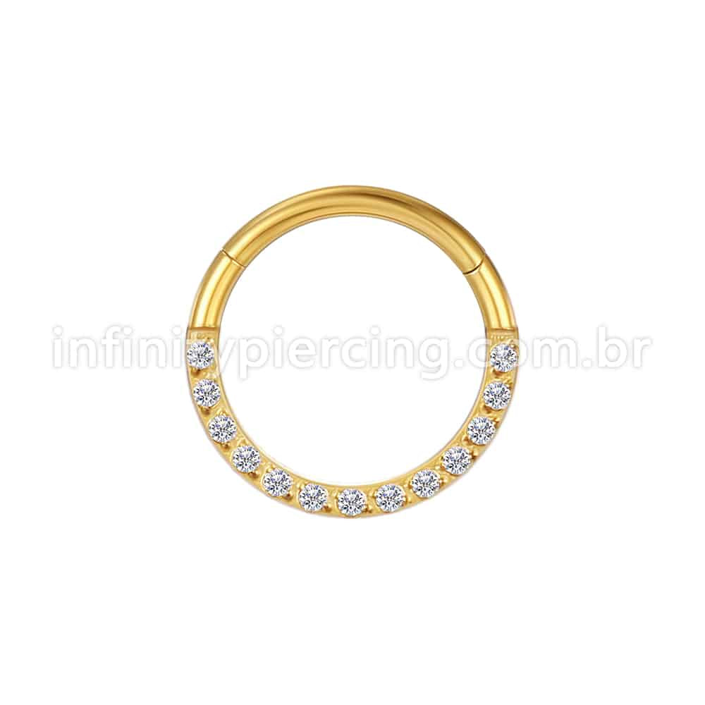 Piercing Argola Segmento Articulado Aço Cirurgico Pedras Frontal