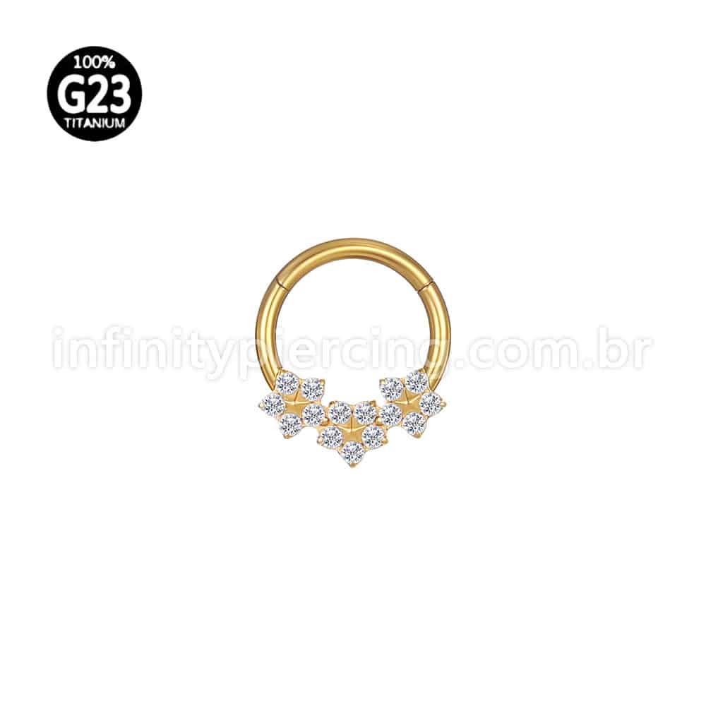 Piercing Argola Titânio Segmento Articulado Flores Zircônia