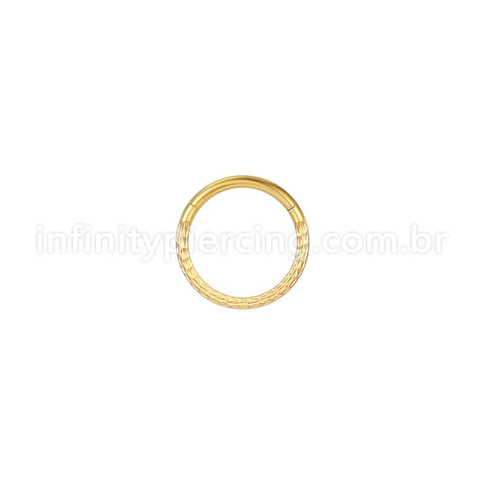 Piercing Argola Aço Cirúrgico Com Detalhes