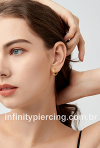 Piercing Argola Titânio Segmento Articulado Transpassada Zircônia Detalhada