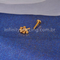 Piercing Labret Titânio Árvore  Zircônia Cravejada
