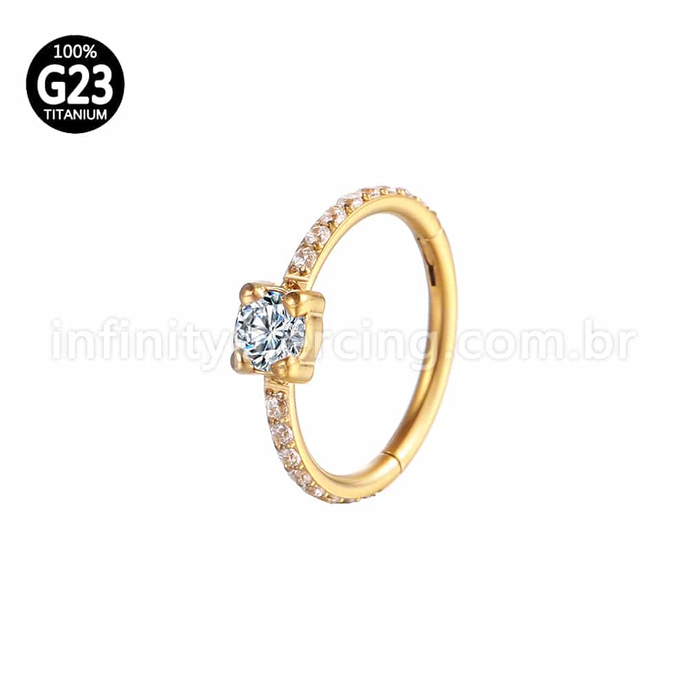 Piercing Argola Titânio Segmento Articulado Zircônia Redonda