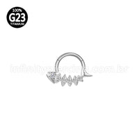 Piercing Argola Titânio Segmento Articulado Peixe Zircônias Cravejadas