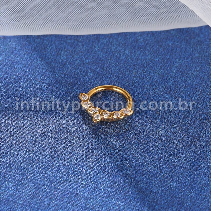 Piercing Argola Titânio Segemento Articulado Detalhes Zircônia
