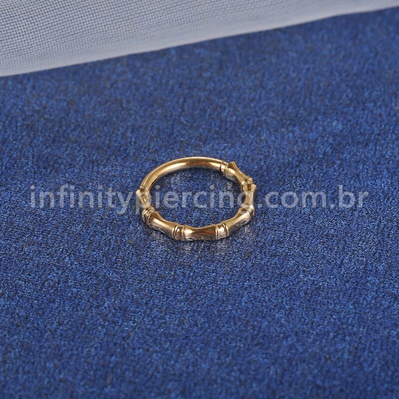 Piercing Argola Titânio Segmento Articulado Detalhada