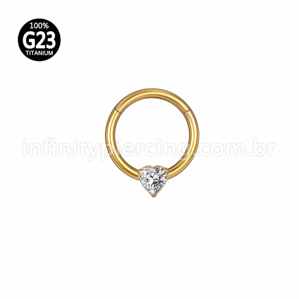 Piercing Argola Titânio Segmento Articulado Uma Zircônia Coração