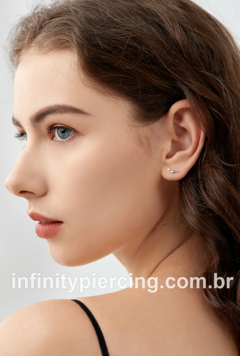 Piercing Labret Aço Cirúrgico Golfinho Zircônia
