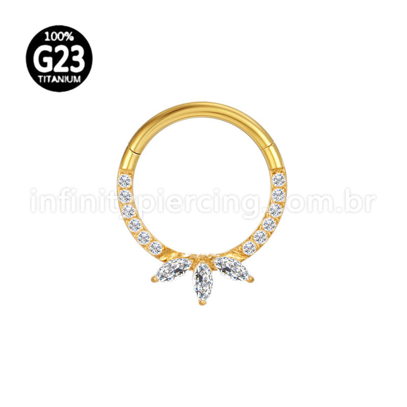 Piercing Argola  Titânio Segmento Articulado Zircônia Cravejada