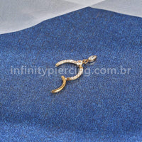 Piercing Argola Aço Cirúrgico Zircônia Cravejada Com Pingente