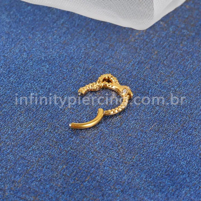 Piercing Argola Titânio Detalhes Cobra