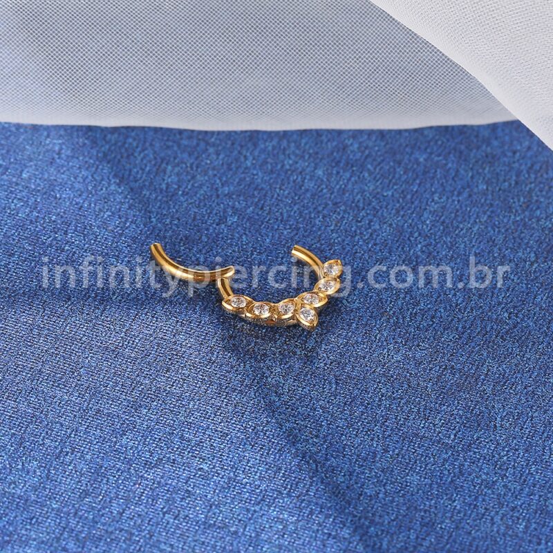 Piercing Argola Titânio Segemento Articulado Detalhes Zircônia