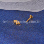 Piercing Labret Titânio Cavalo Zircônia Cravejada
