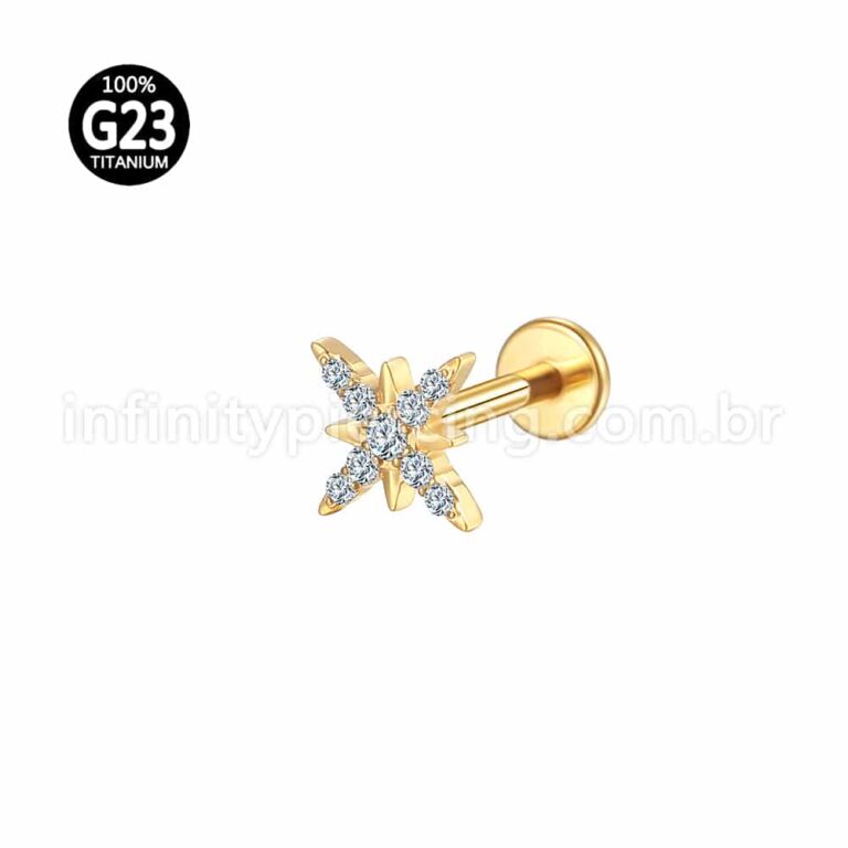 Piercing Labret Titânio Floco De Neve Zircônia