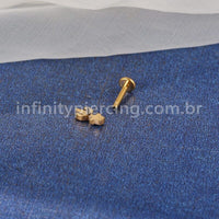 Piercing Labret Aço Cirúrgico Cacto Com Zircônia