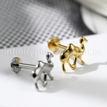 Piercing Labret Camelo Titânio