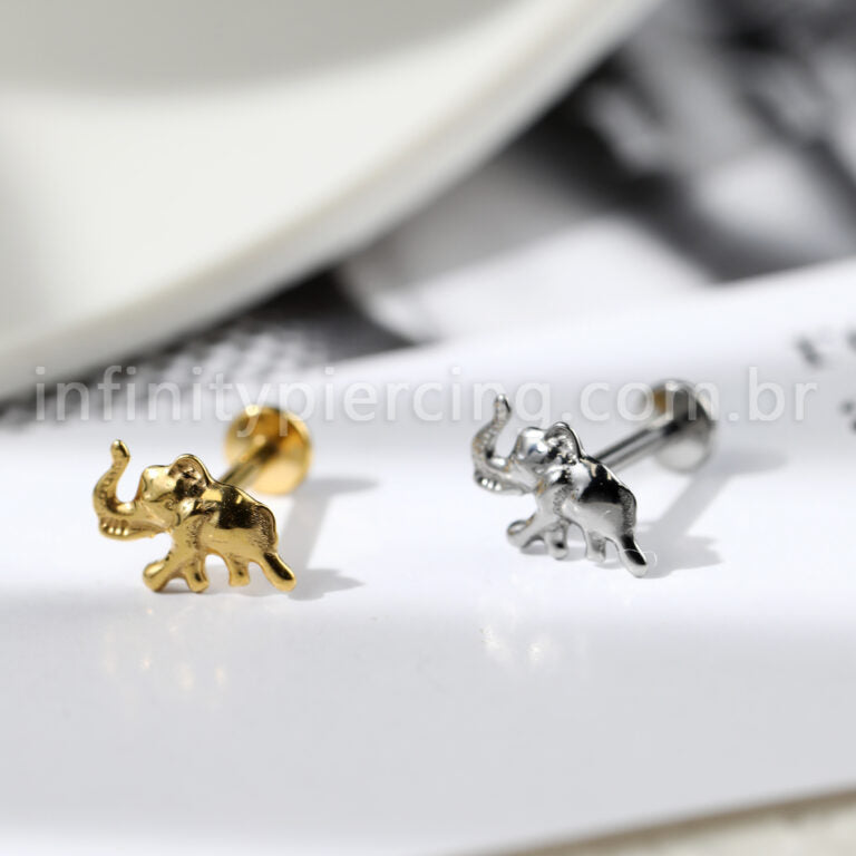 Piercing Labret Titânio Elefante