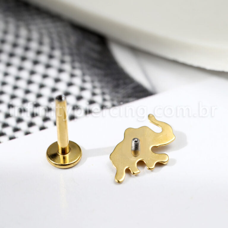 Piercing Labret Titânio Elefante