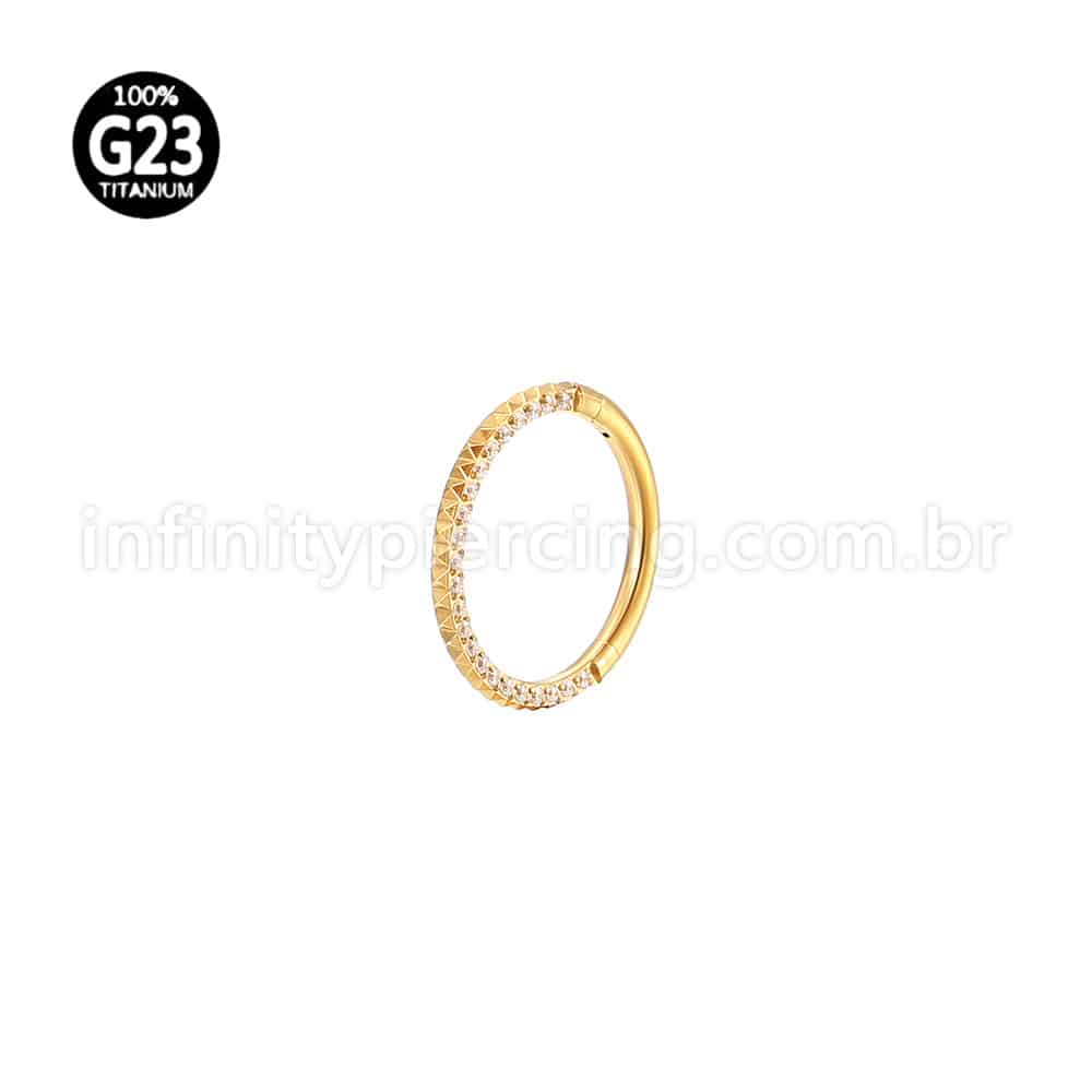 Piercing Argola Titânio Segmento Articulado Detalhada/Zircônia