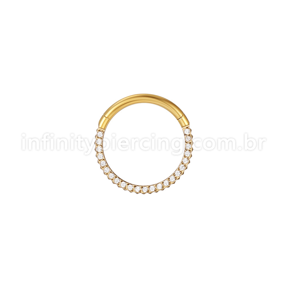Piercing Argola Aço Cirúrgico Segmento Articulado Detalhada/Zircônia