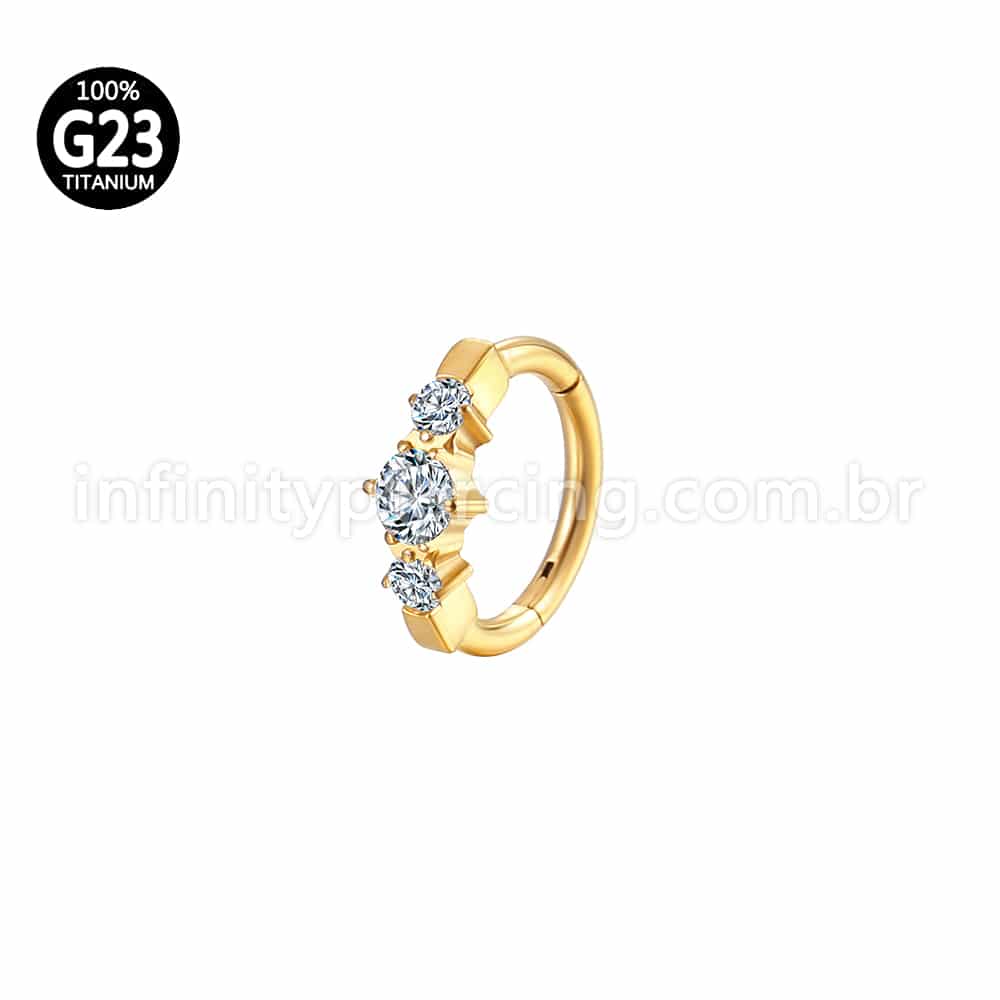 Piercing Argola Titânio Segmento Articulado Redondo Zircônias Cravejadas