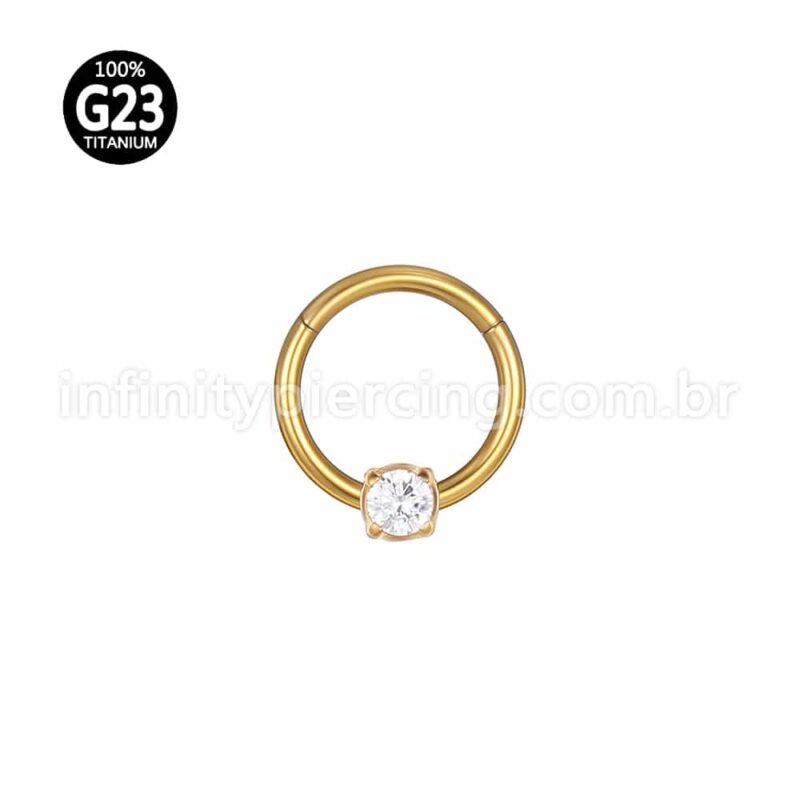 Piercing Argola Titânio Segmento Articulado Uma Zircônia Redonda