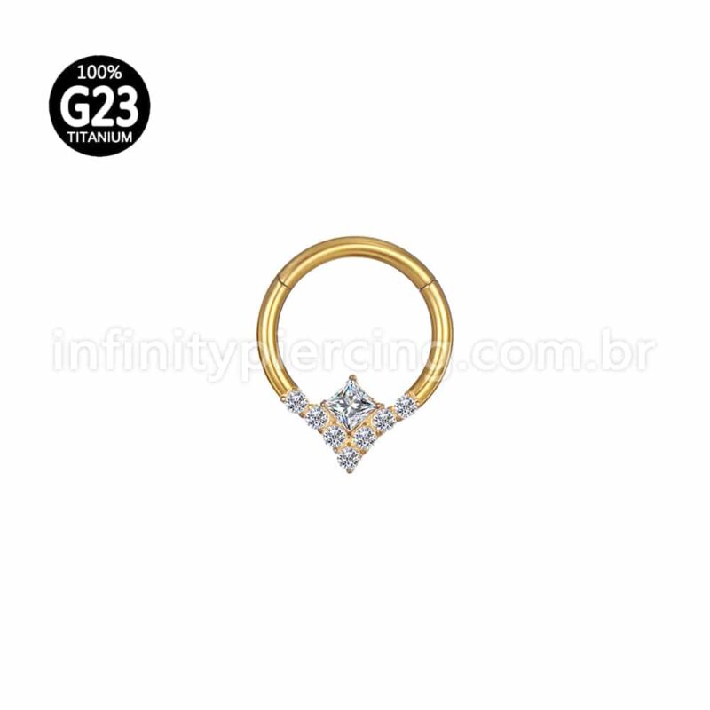 Piercing Argola Titânio Segmento Articulado Zircônia Cravejada