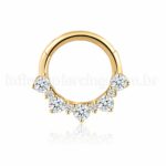 Piercing Argola Aço Cirúrgico Detalhe Zircônia