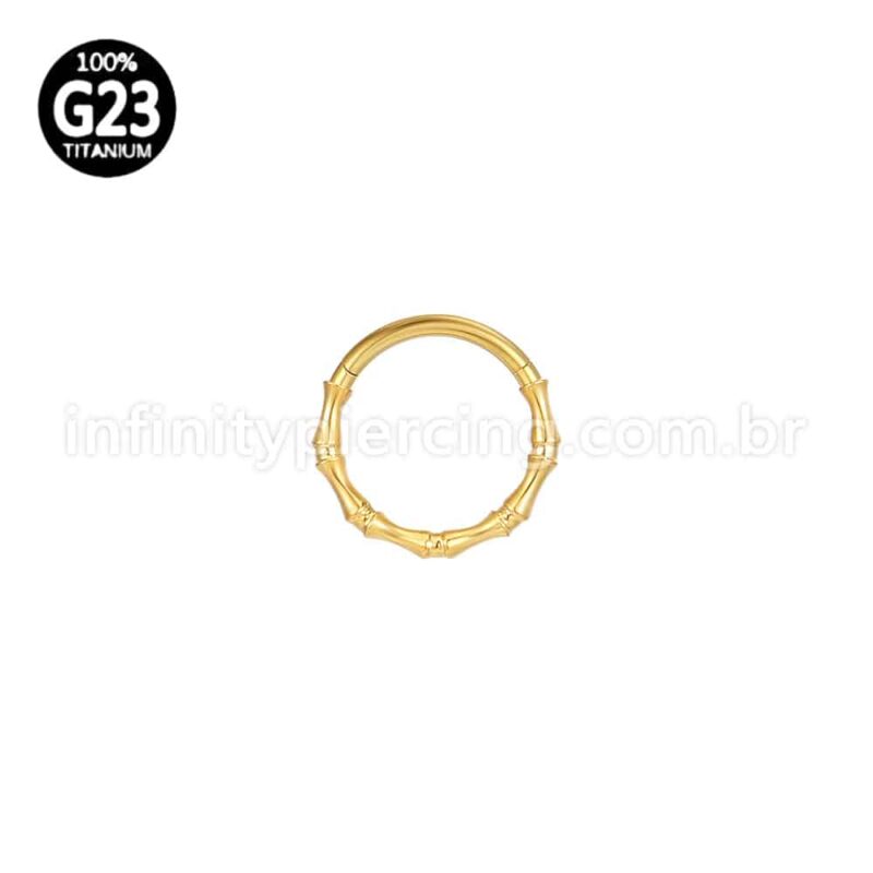 Piercing Argola Titânio Segmento Articulado Detalhada