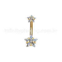 Piercing Aço Cirúrgico Banana 2 Pedras Zircônia Cravejada Estrela