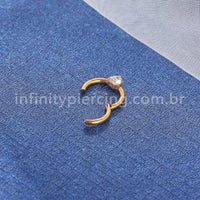 Piercing Argola Titânio Segmento Articulado Uma Zircônia Coração