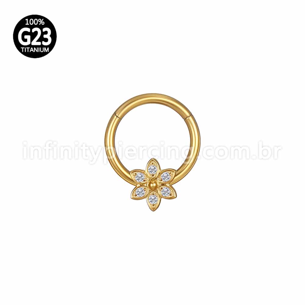 Piercing Argola Titânio Segmento Articulado Flor 6 Pontas