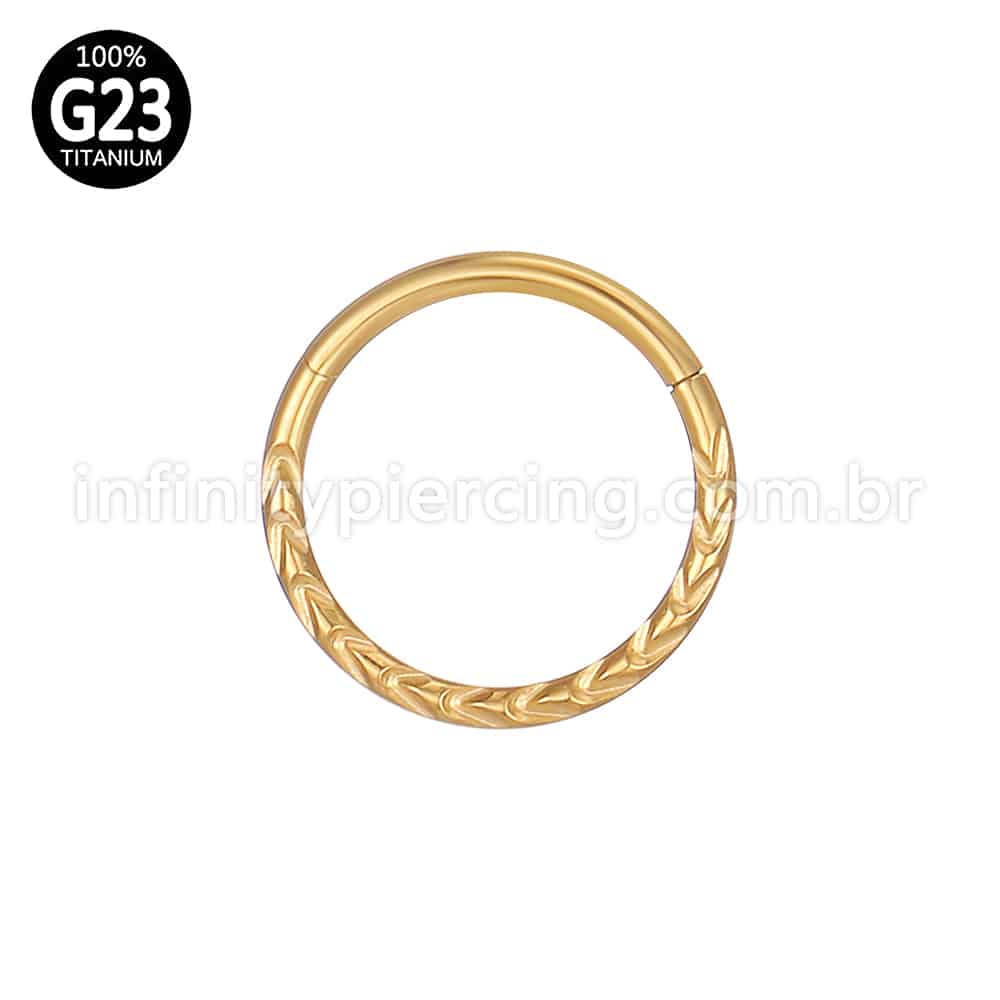 Piercing Argola Titânio Segmento Articulado Detalhado