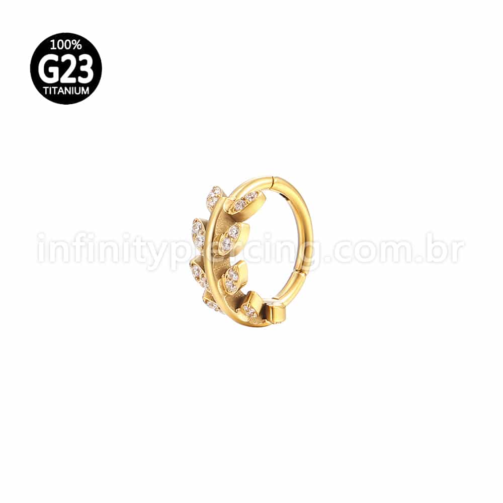 Piercing Argola Titânio Segmento Articulado Folhas Zircônia