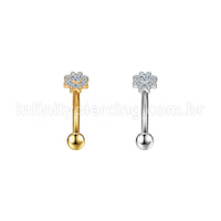 Piercing Minibarbell Curvo Aço Cirúrgico Flor Zircônia